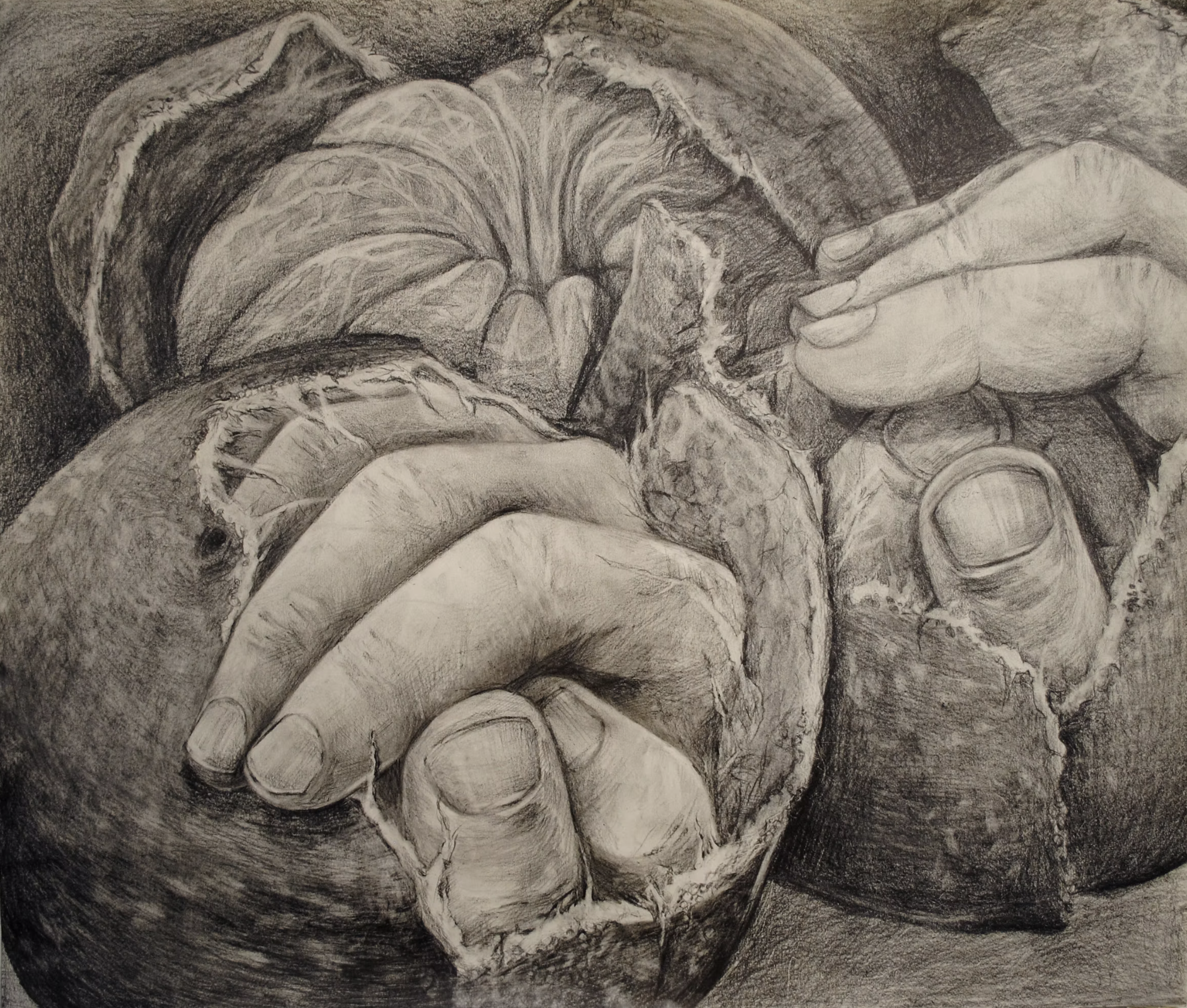 Works on Paper